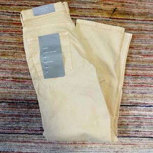 Everlane Way High Jean